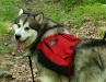 Merak backpacking in May 1        