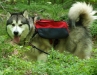 Merak backpacking in May 2     