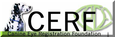 CERF logo